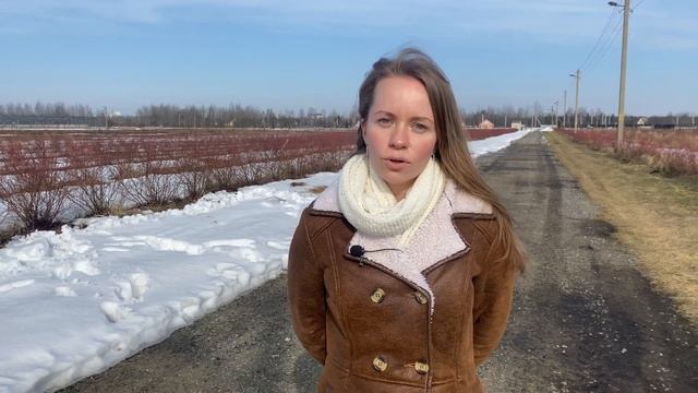 Зачем нужна обрезка?