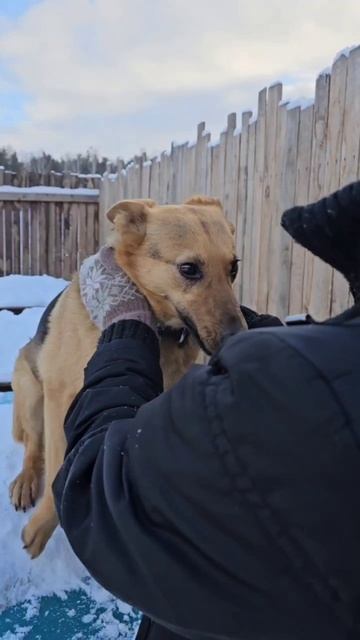Ханна очень ждет своего человека!🙏🥰