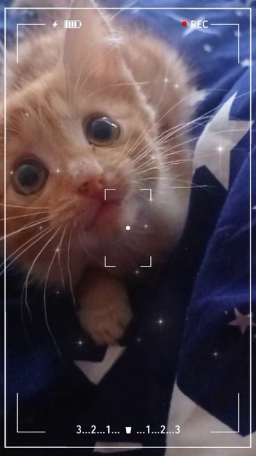Маленькая звёздочка 🥰
