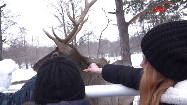 Зимняя сказка для детей бойцов СВО