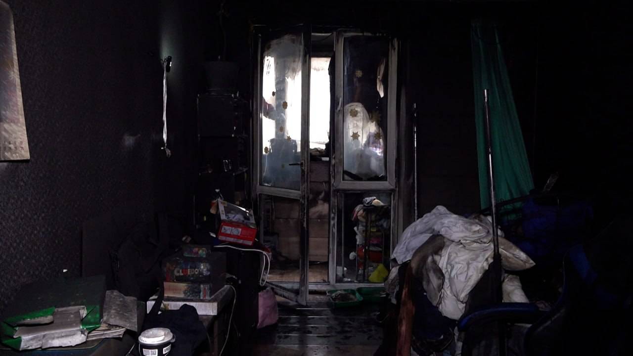 В Краснодаре при пожаре надышались дымом две собаки и девять кошек, одна погибла