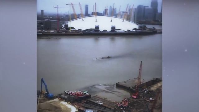 ЧТО ЭТО НЕЧТО ПРОПЛЫЛО непонятное по Темзе (Монстр, Чудовище или Лохнесское чудо