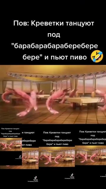креветки танцуют под песню бара бара бере