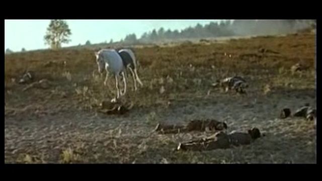 ТЕКУМЗЕ  1972