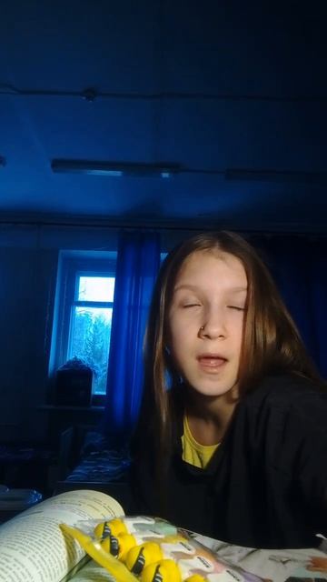 scene_output.mp4
