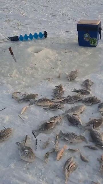Рыбалка чаны