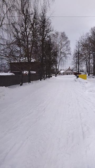 Mondays walk Walking in the forest
#shorts