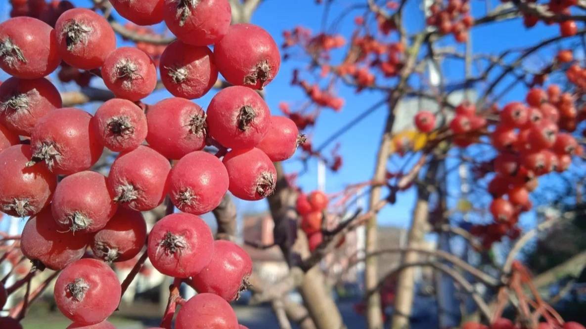 На Ставрополье ожидается потепление