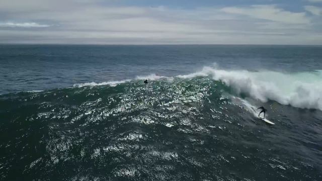 Surfing with GREAT WHITE SHARKS at DUNGEONS SOUTH AFRICA