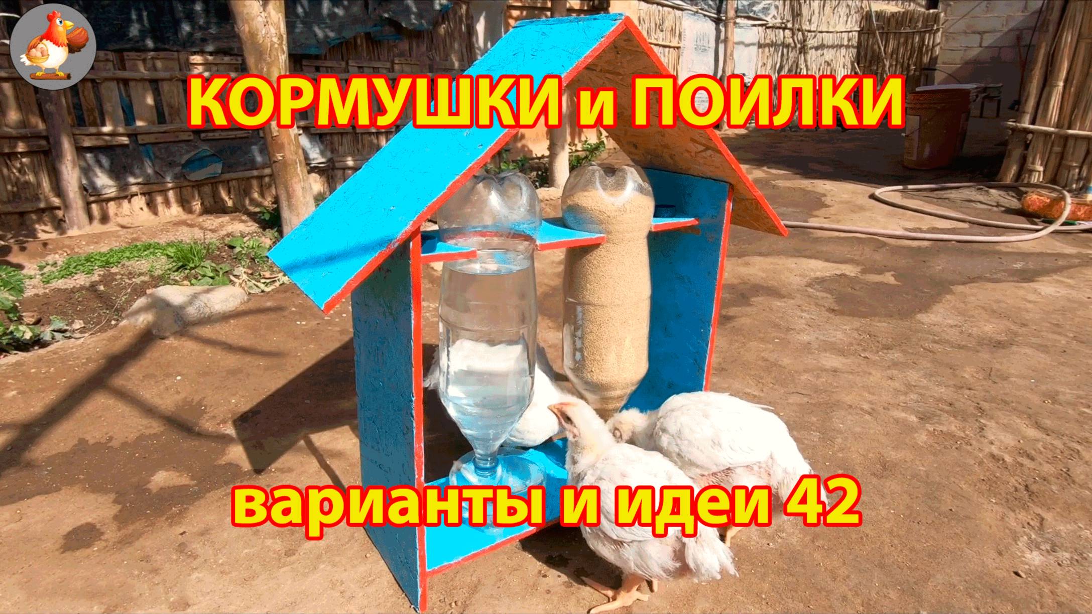 Кормушки и поилки для кур своими руками 42 🪚✂️ Пошаговая инструкция как сделать 🐔 🐓❣️