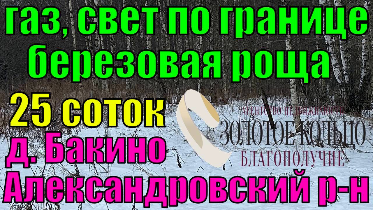 Участок 25 соток в березовой роще в деревне Бакино, Александровский район, Владимирская область.