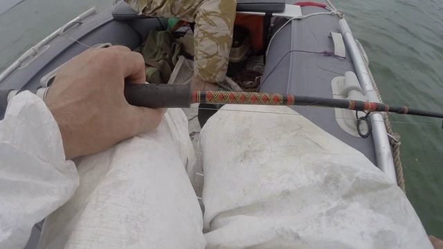 Квочение сома с Александром Михайловичем. Квочение нв Маныче. от Юрия Философа