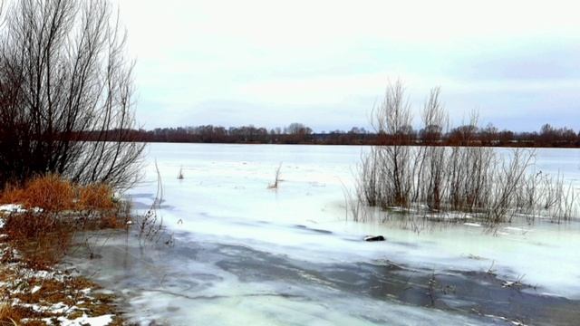 24-01-2025 " Река в январе"