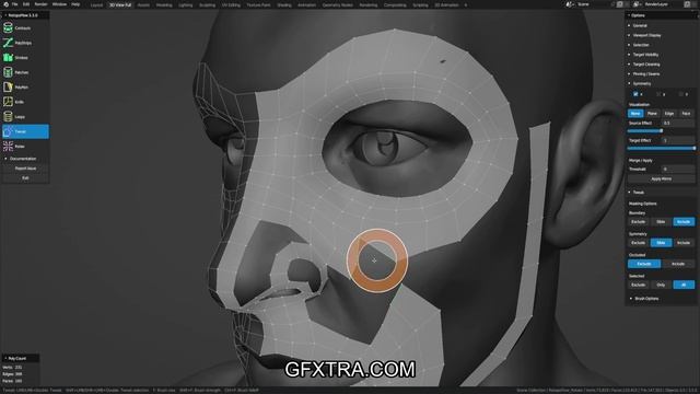 RetopoFlow 3 - 11 - Workflow Demo.mov