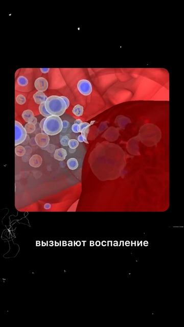 Почему важно обрабатываться от паразитов.