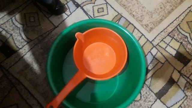 Чем подкормить хурму в домашних условиях