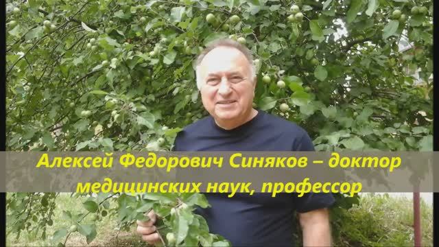 Доктор Синяков: мои целебные тайны