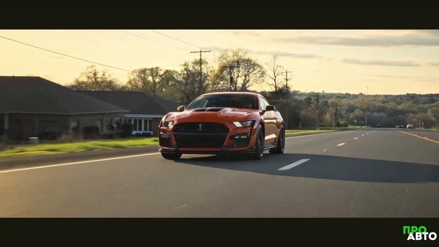 MUSTANG SHELBY GT 500