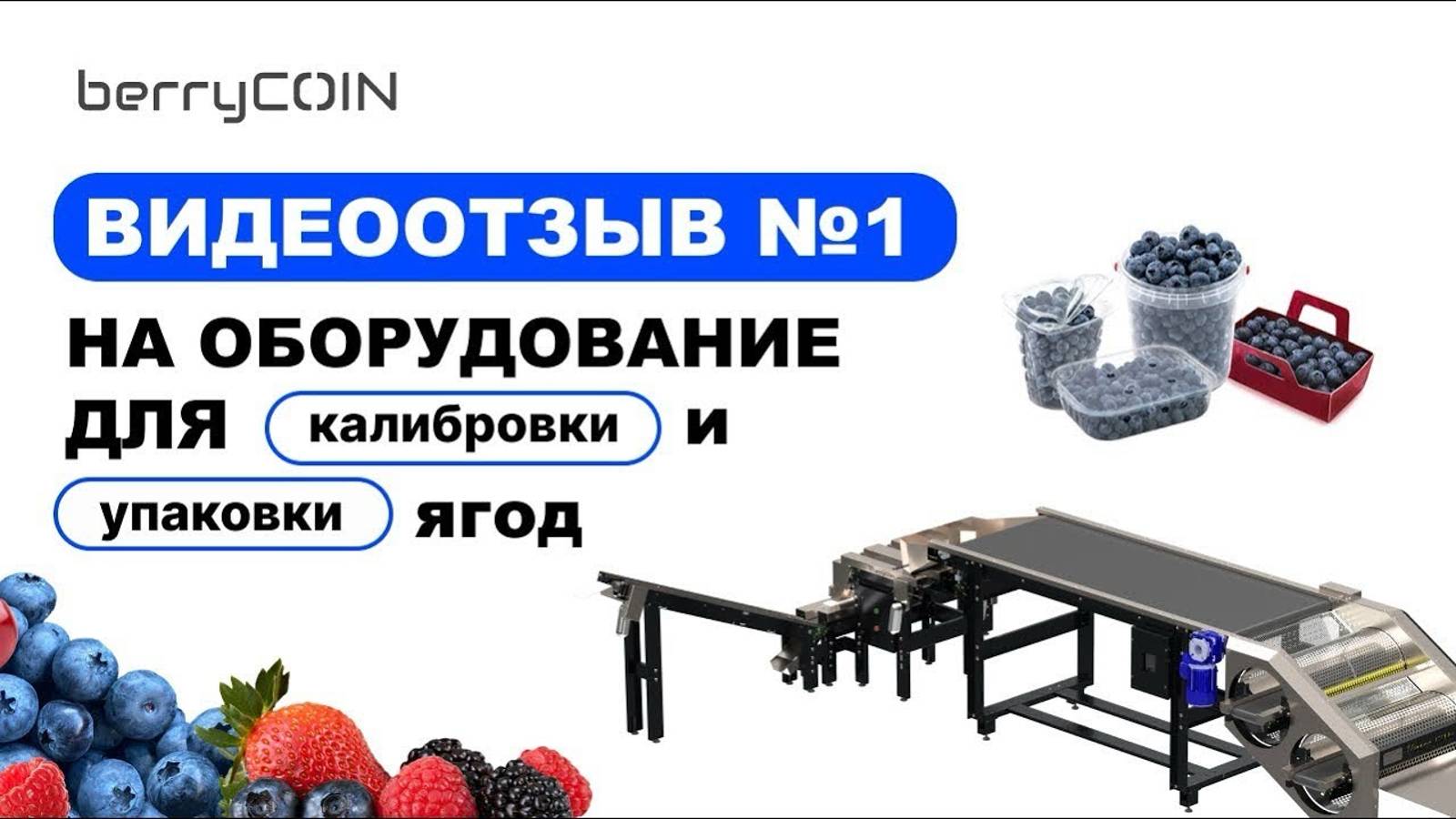 Видеоотзыв на оборудование по калибровке и упаковке ягод, с Пётром (1)