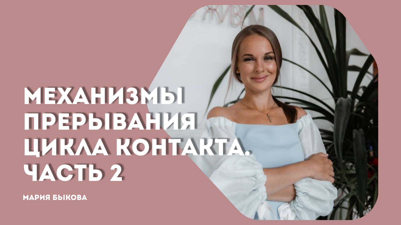 Механизмы прерывания цикла контакта в гештальт-терапии. Часть 2
