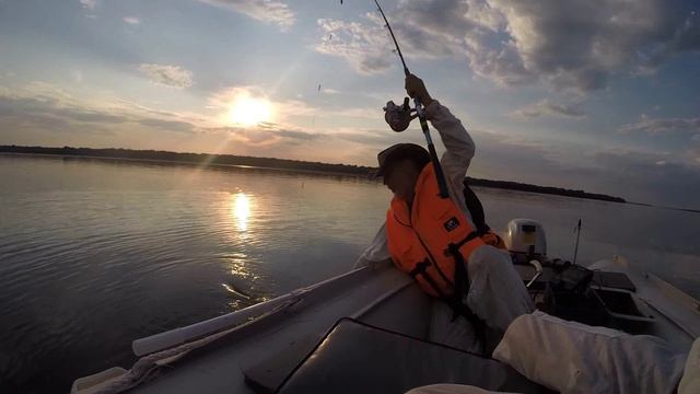 Сомик под квоком после 700 км пути в июльскую жару. от Юрия Философа