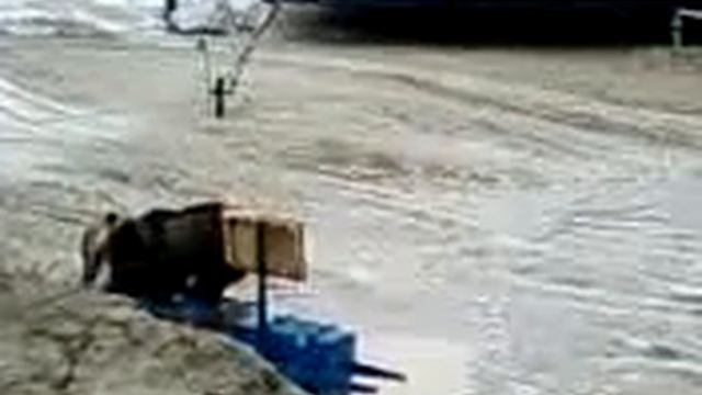Сольветка в жызни(1)