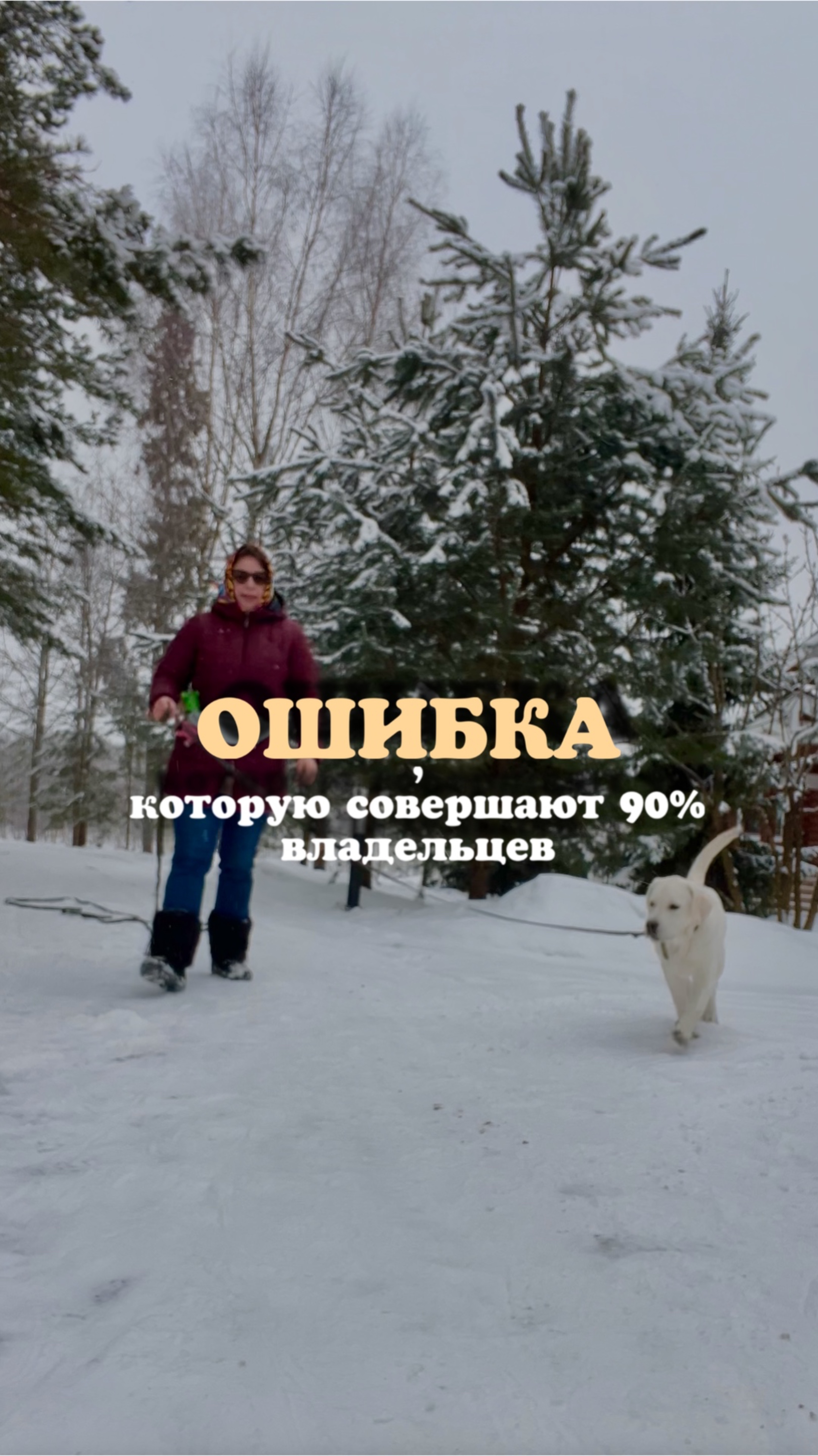 Ошибка,которую допускают 90% владельцев собак 🐕🦺