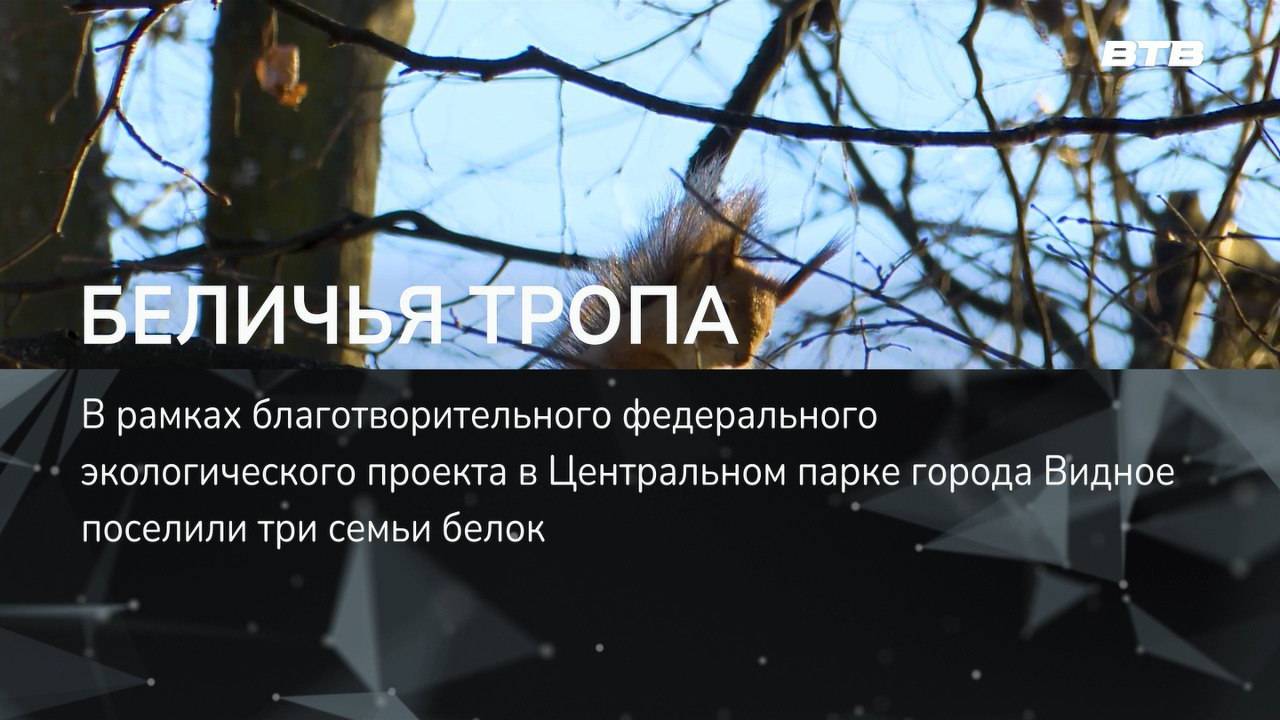 БЕЛИЧЬЯ ТРОПА