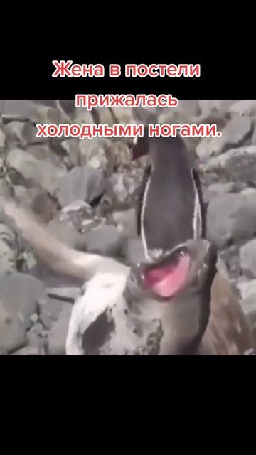 название придумаю потом