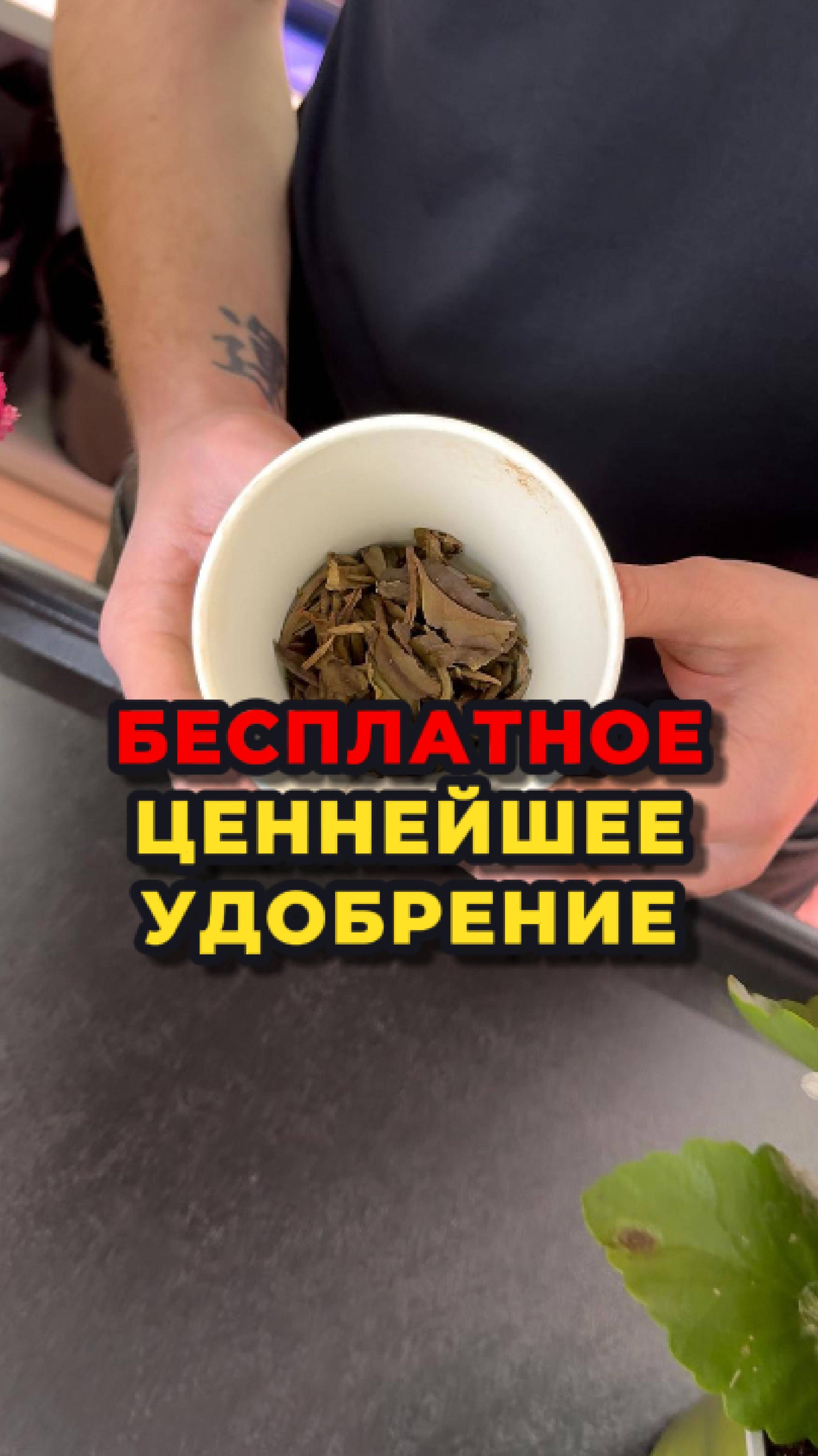 Не выбрасывайте ЭТО!