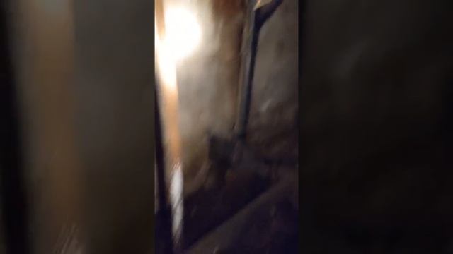 Несколько месяцев стоит вонь. УК Городок бездействует. Анонимно пожалуйста.