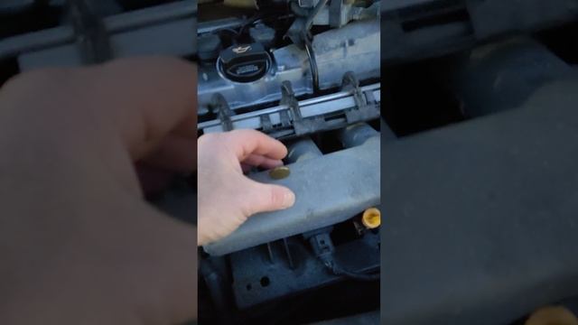 VID_20250124_161944