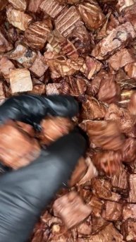 Легкое говяжье🐄