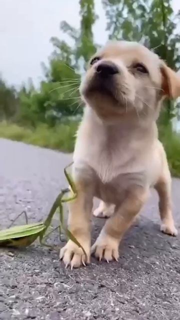 video_2024-08-18_21-25-57