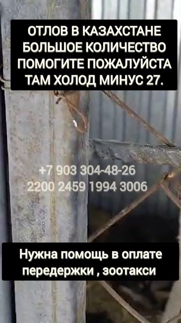 Усыпалка Казахстана