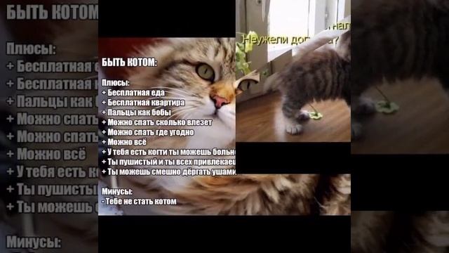 1000029677.mp4