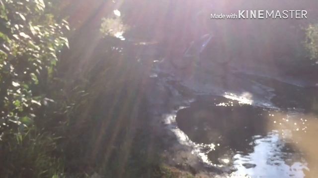 Катаемся по луже