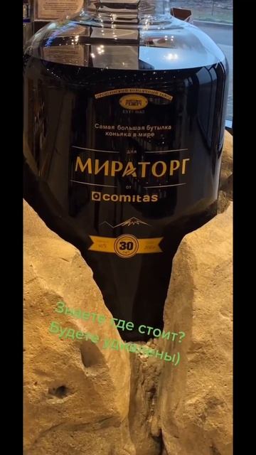 Мираторг а городе К….