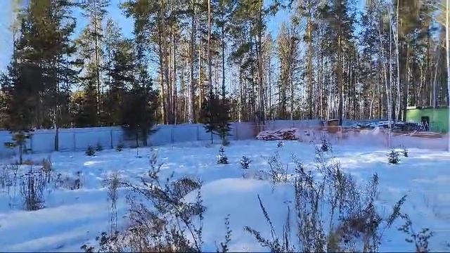 1000093555.mp4
