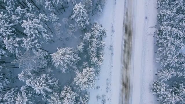 WINTER 2022. ЗИМА. ВЕСЕЛЬЕ. SHORT video для нелюбителей зимнего времени года.