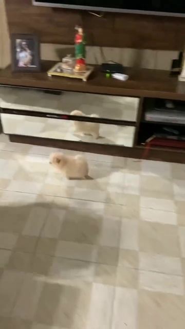 1000088582.mp4