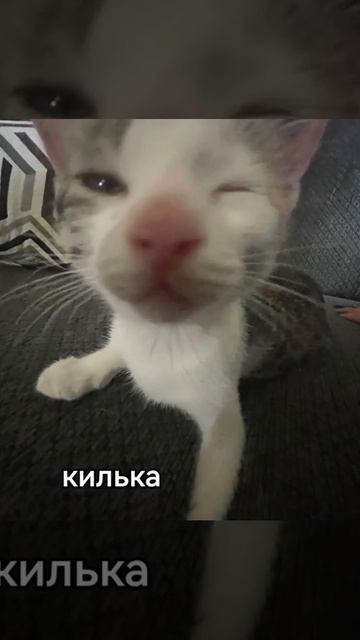 1000006076.mp4