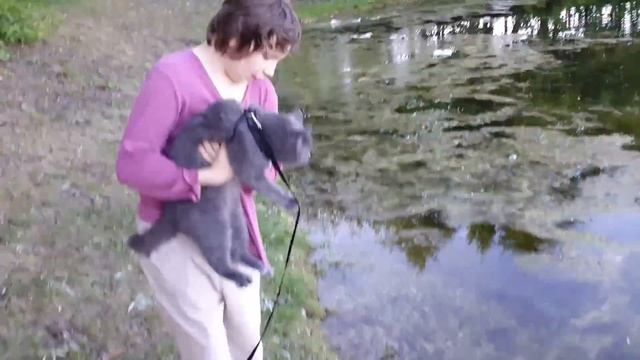 VLOG  Бесимся, отдыхаем, и кушаем шашлыки