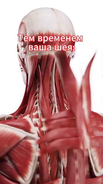 болит шея что может быть?.mp4