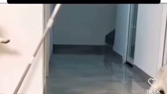 нас так просто не возьмёшь