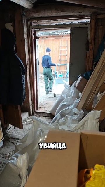 Жизнь как она есть