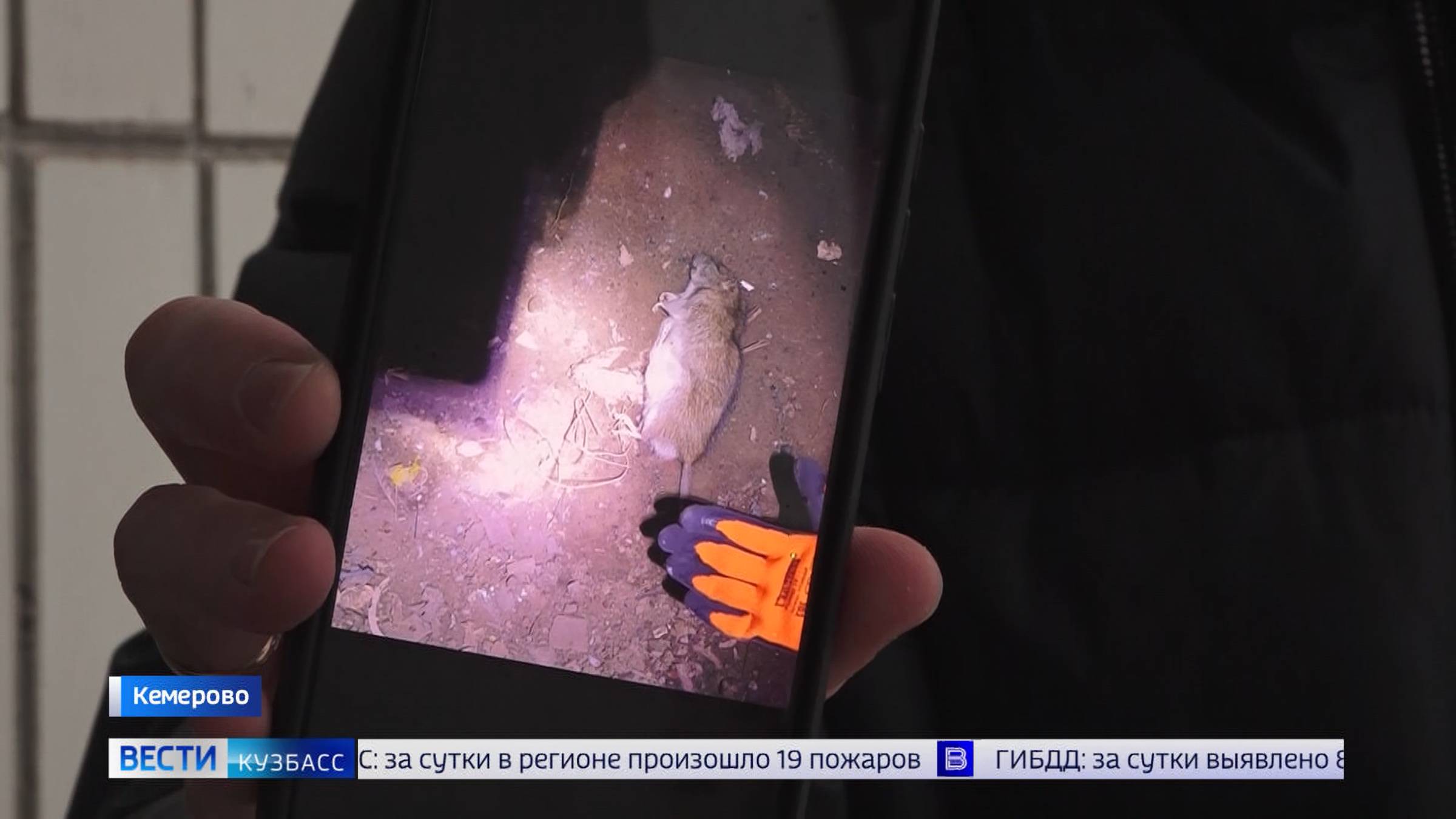 Жители дома на Комсомольском в Кемерове жалуются на невыносимый запах в подъезде