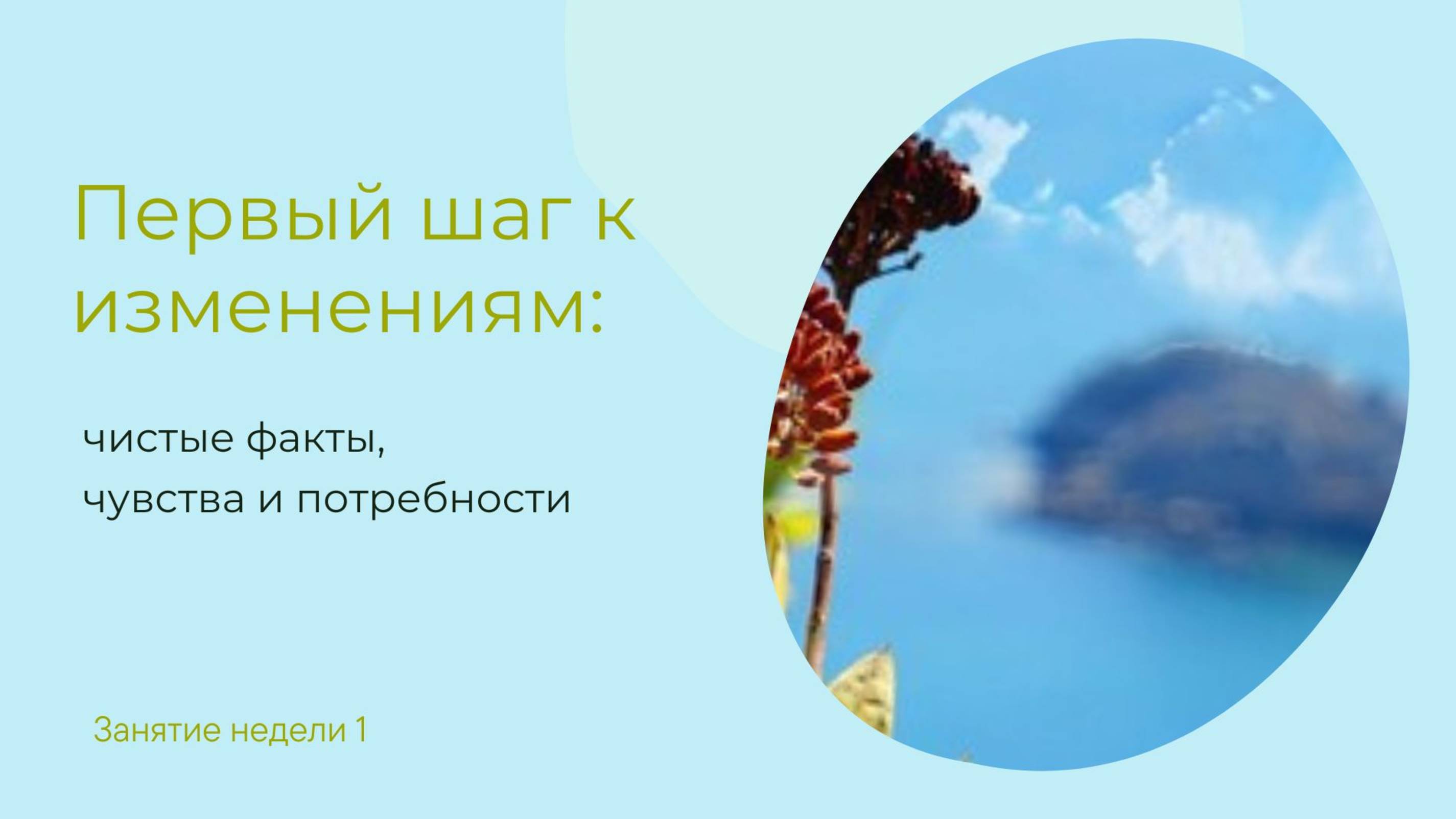 Первые шаги к изменениям. Занятие 24.01.2025