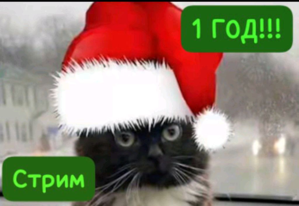 ответы на вопросы.