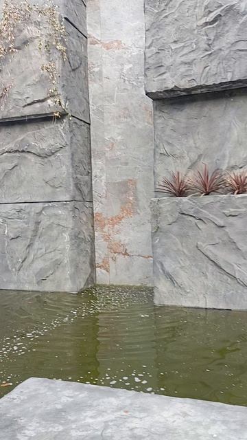 Красота в Лазаревском😍